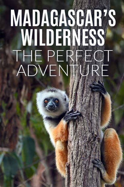 Madagascar's Wilderness